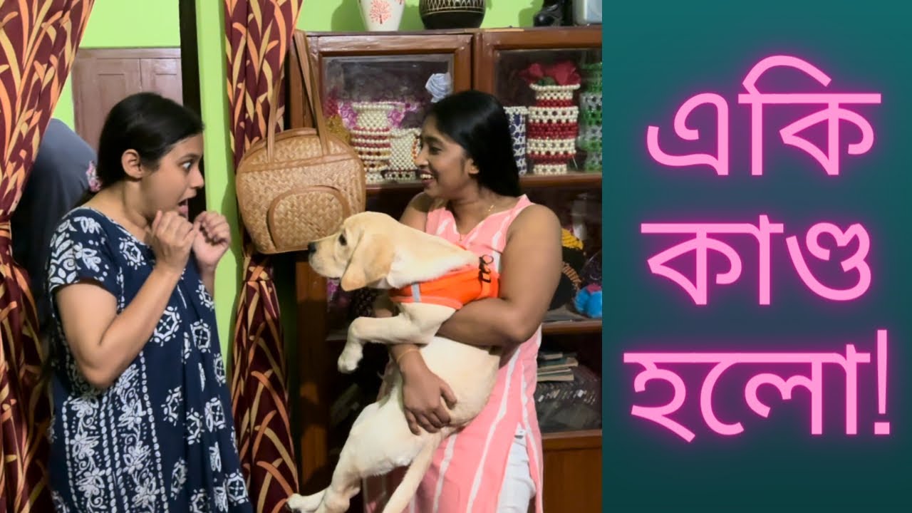 Gublu k dekhe Pipi একি করলো??? 😂😂🐶🐶 #dailyvlog #doglover #banglavlog