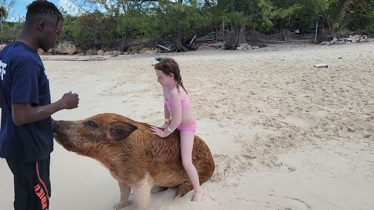 Hailey Riding Pig at Sandy Toes
