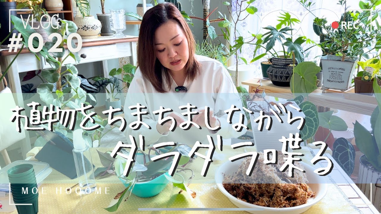 【ダラダラ喋る】植物のちまちま作業（Vlog/020）
