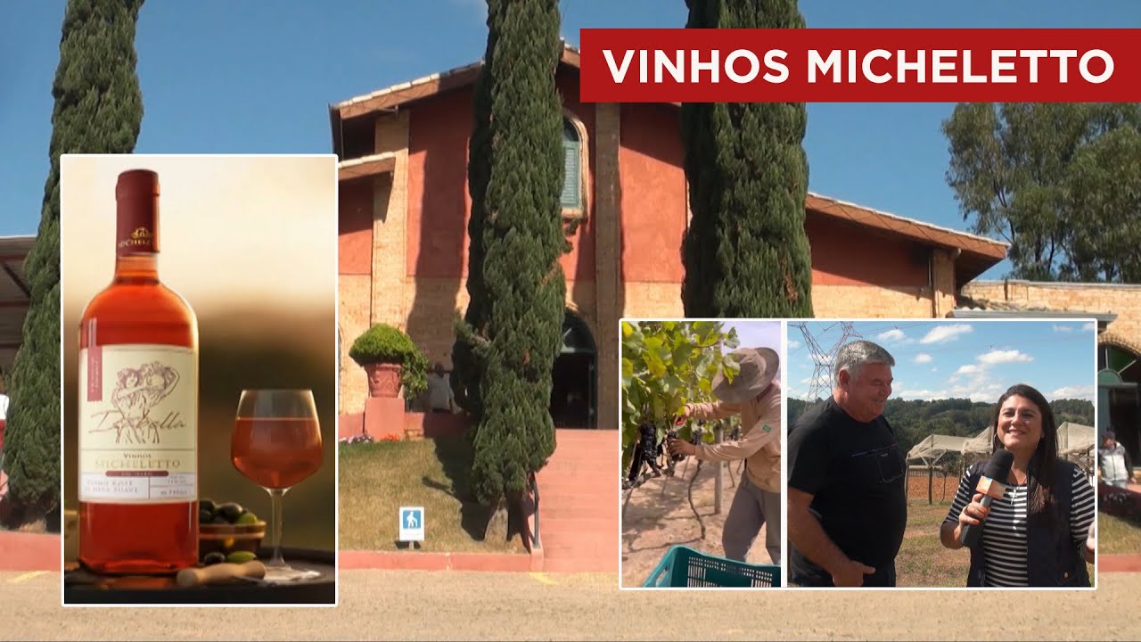 Vinhos MICHELETTO - LOUVEIRA-SP