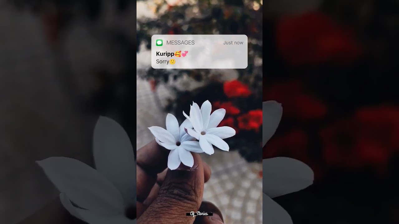 Kuripp🥰💞 | _af_stories ❤️