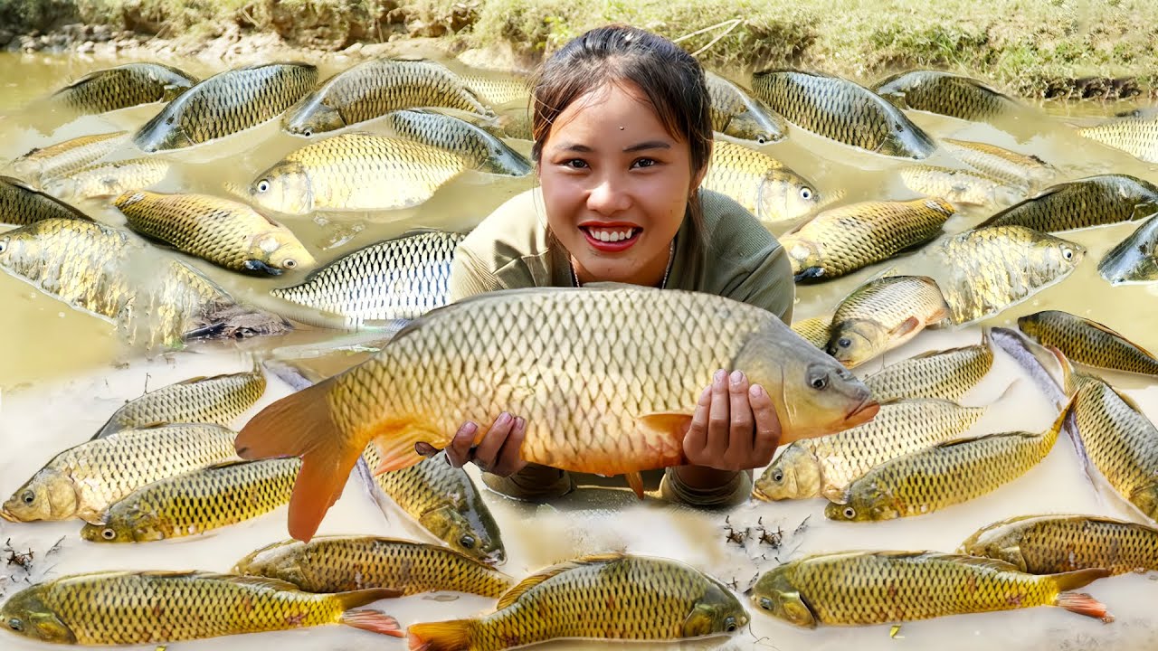 Harvest a Giant School of Carp and Huge Catfish in the Pond, Bring them to the Market to Sell