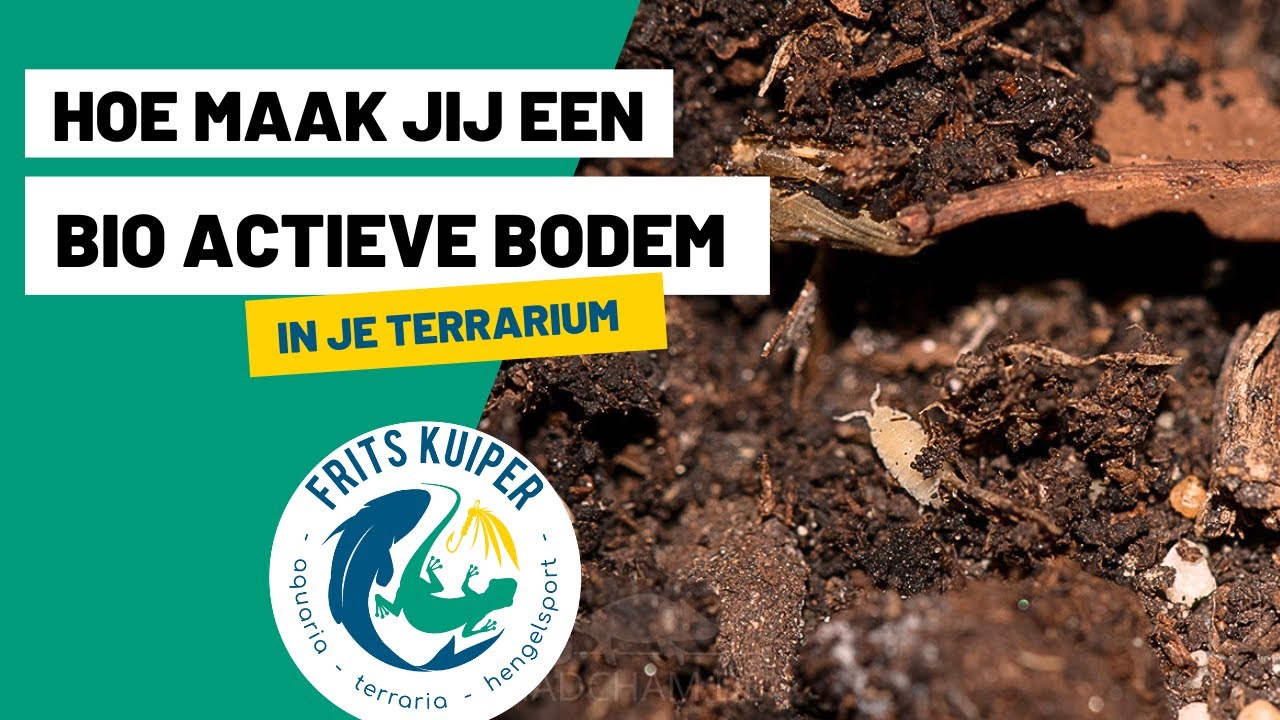 Bioactieve bodem maken voor terrarium | Terrariumtips Frits Kuiper