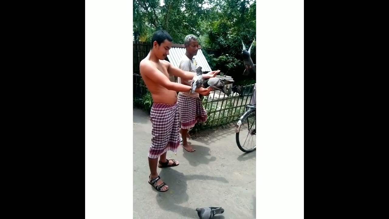 posa payra