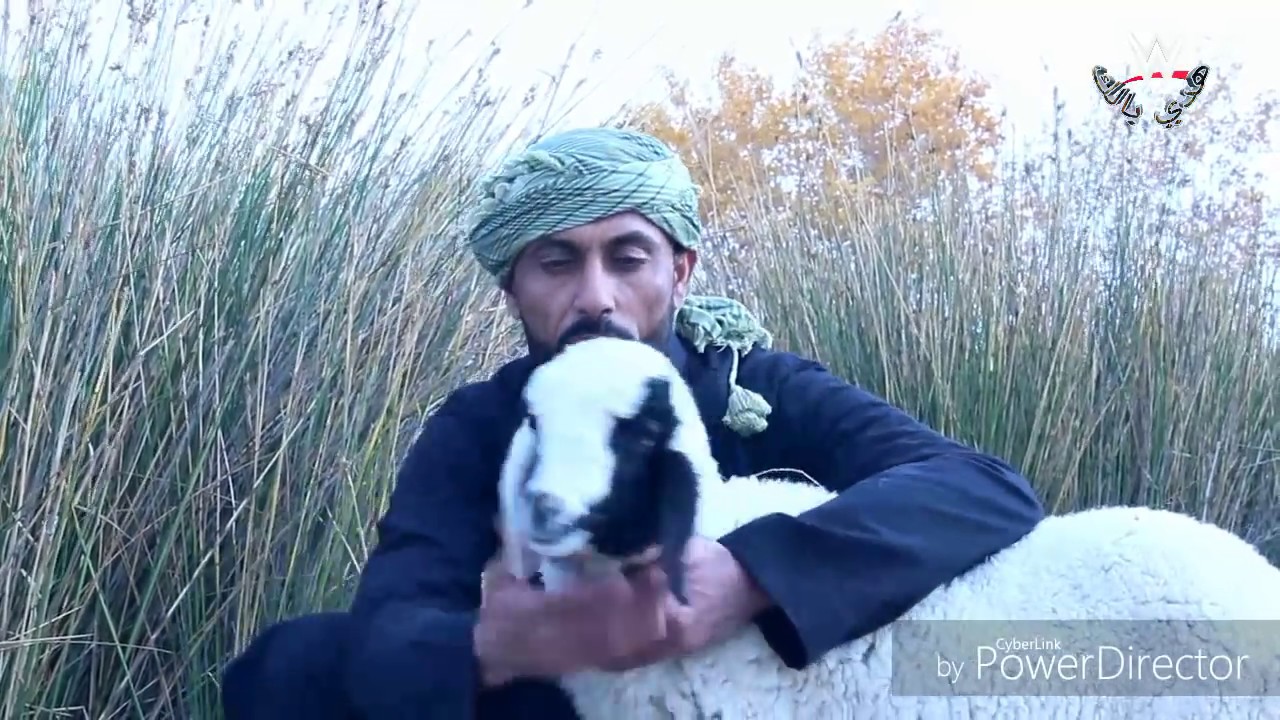 تحشيش عراقي#الاعلاسه الاصليه# اله بشده يموت ضحك