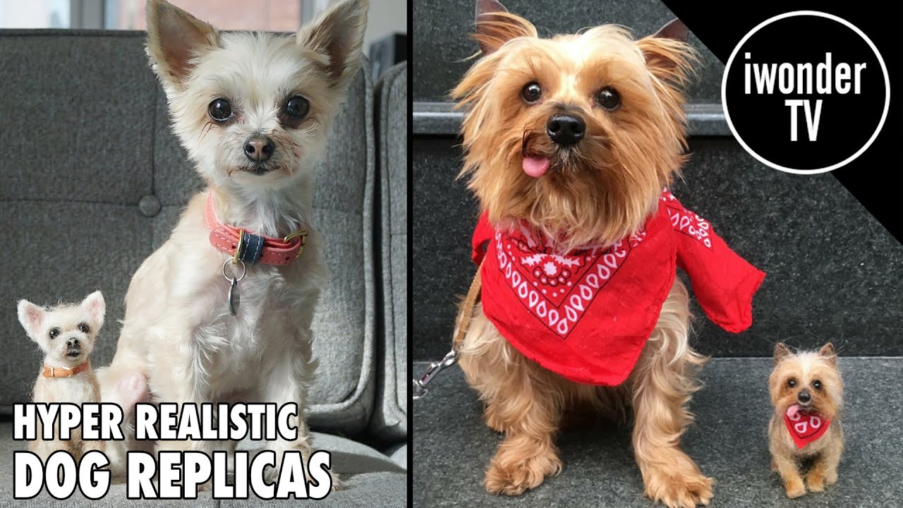 Artist Makes Hyper Realistic Dog Replicas With Needle Felt