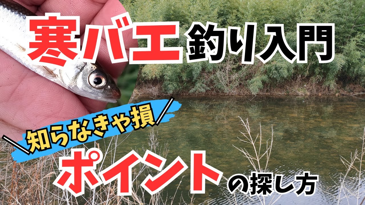 寒バエ釣り入門～知らなきゃ損するポイントの探し方～