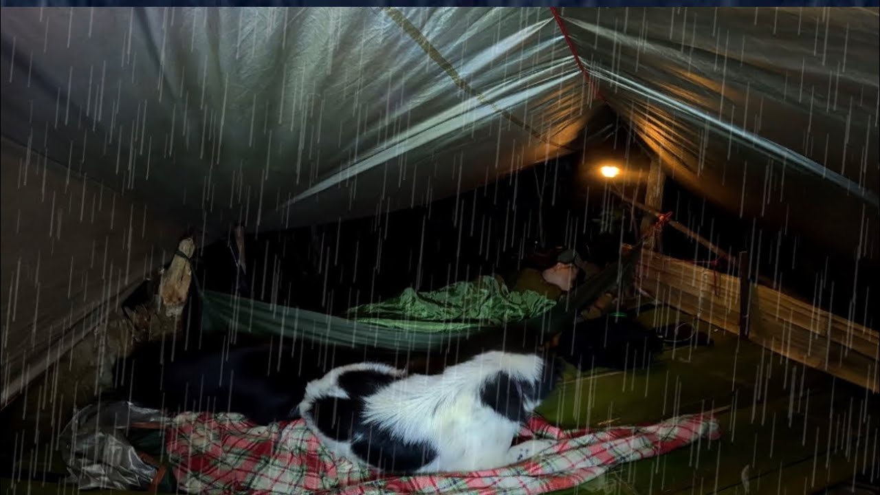 นอนป่าที่รกมาก ต้องยกสูง ฝนตกเกือบทั้งคืน บรรยากาศเย็น