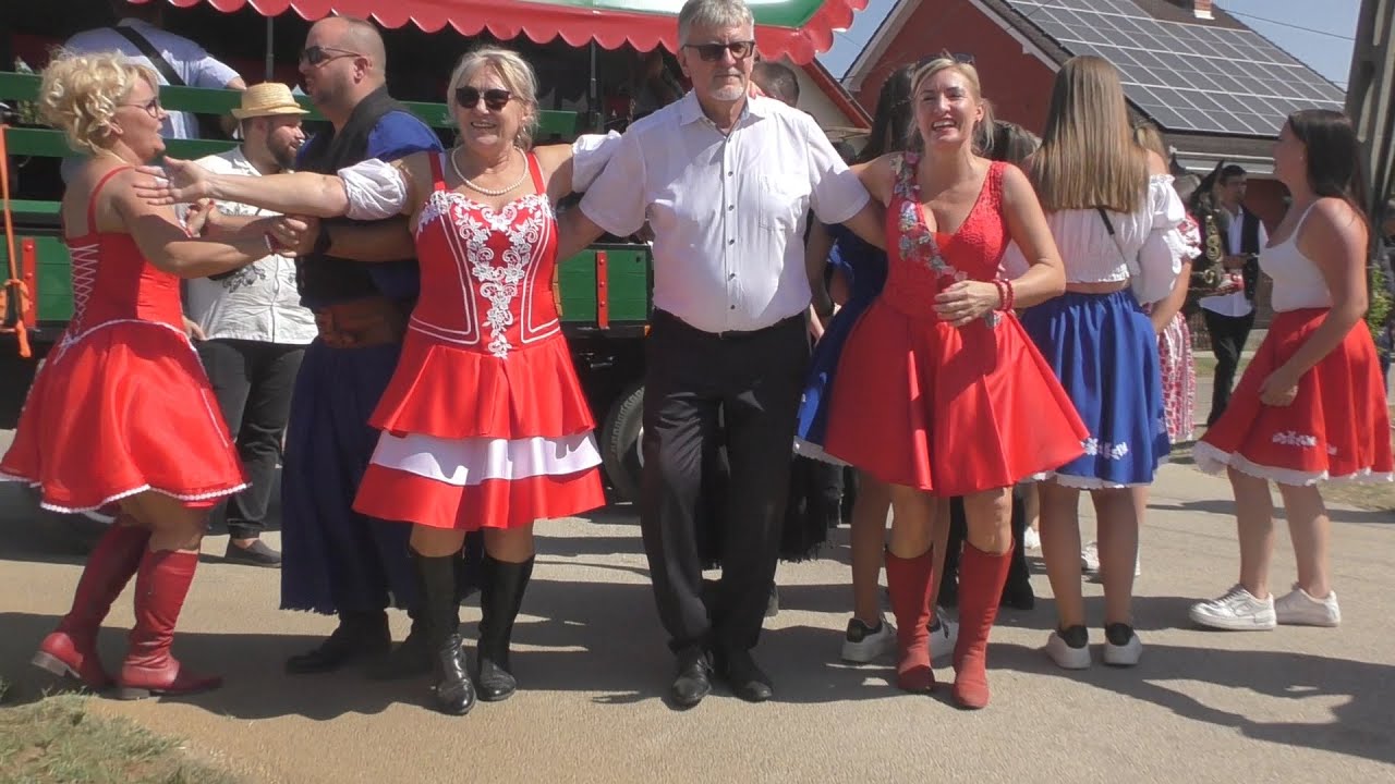 Jegenye fán fészket rak a csóka - Mizsei Band