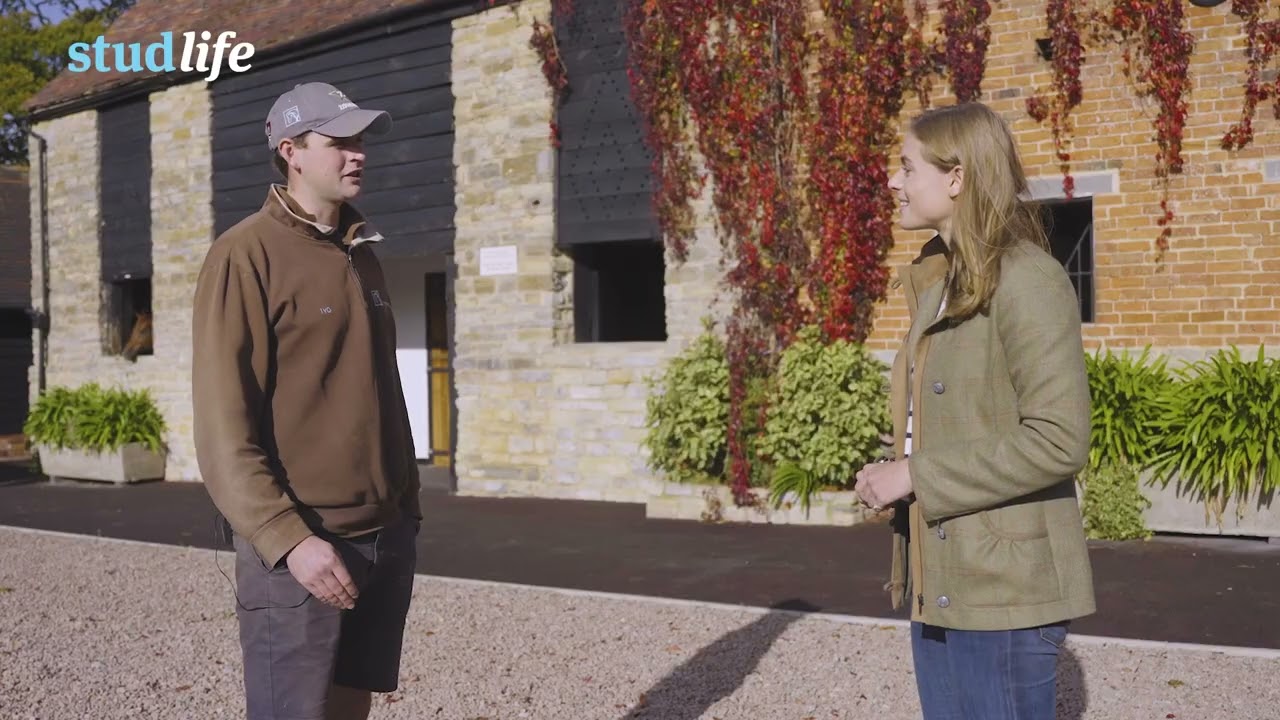 Preparing a Foal for the Sales | Tweenhills Consignment | Kameko's first foals