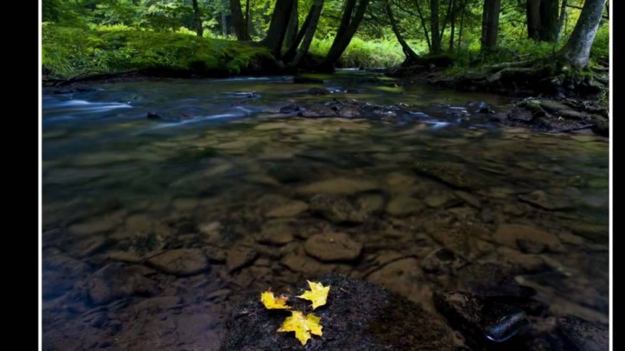 Potter County Pa