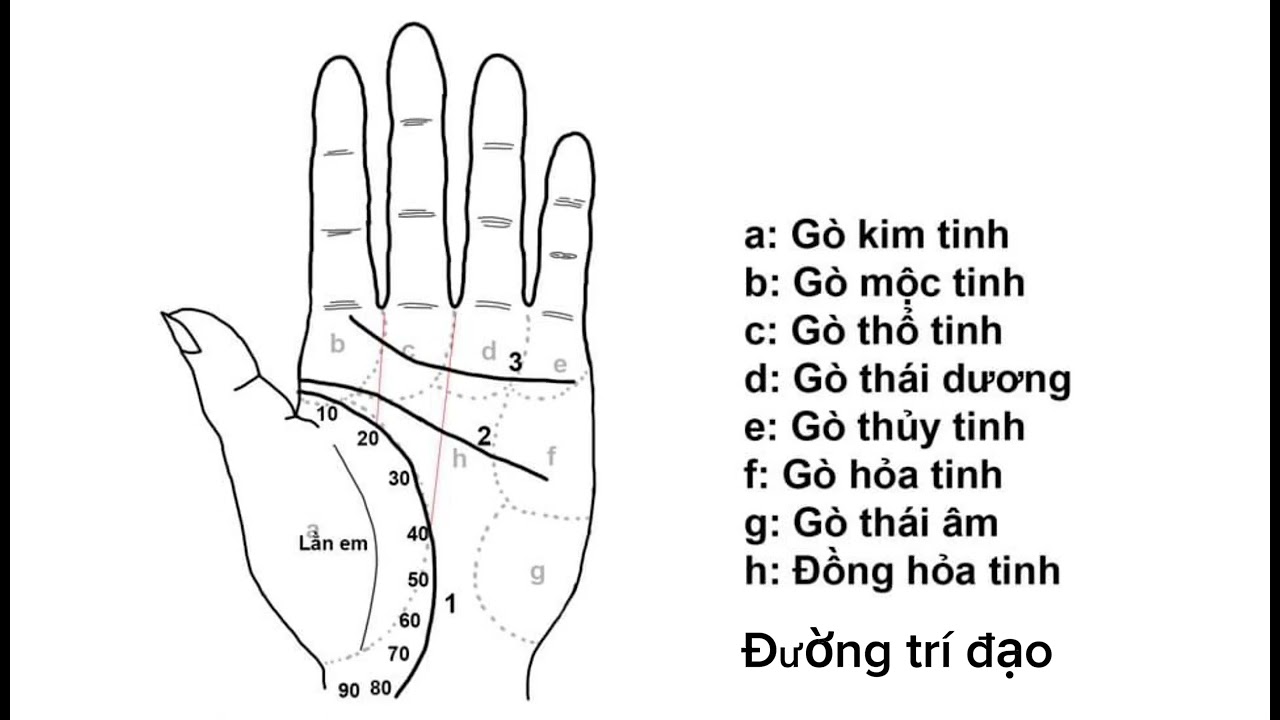 Xem chỉ tay (Đường sinh,trí,tâm đạo).
