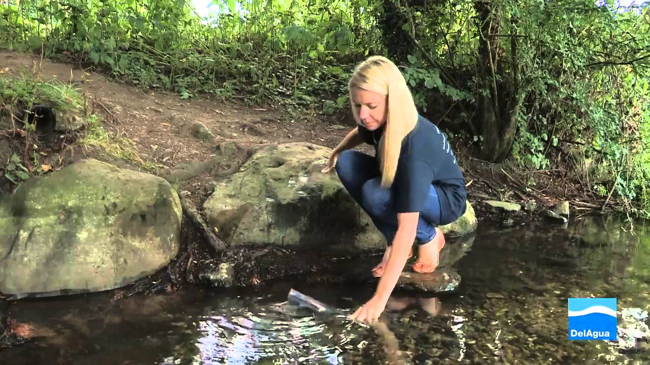 2. DelAgua Kit Training Video - Measuring Turbidity