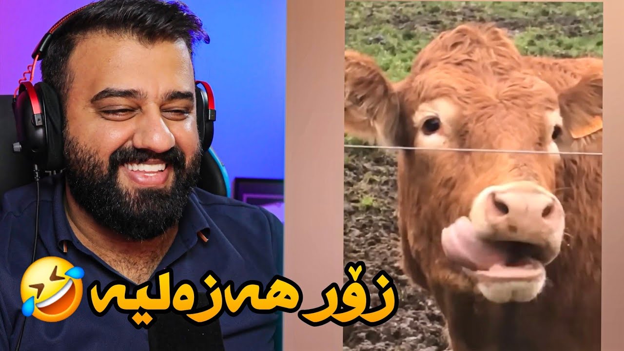 کەتنە کۆمیدیە خۆشەکان 🤣