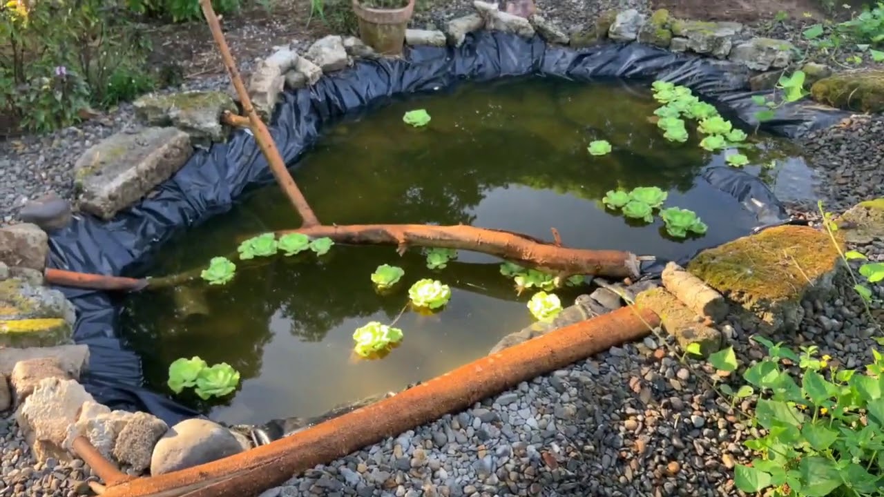 Permaculture Garden Tours - Philippines and Uganda