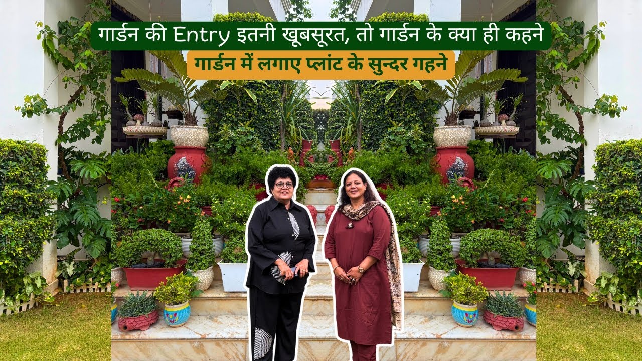 गार्डन की Entry इतनी खूबसूरत, तो गार्डन के क्या ही कहने | गार्डन में लगाए प्लांट के सुन्दर गहने