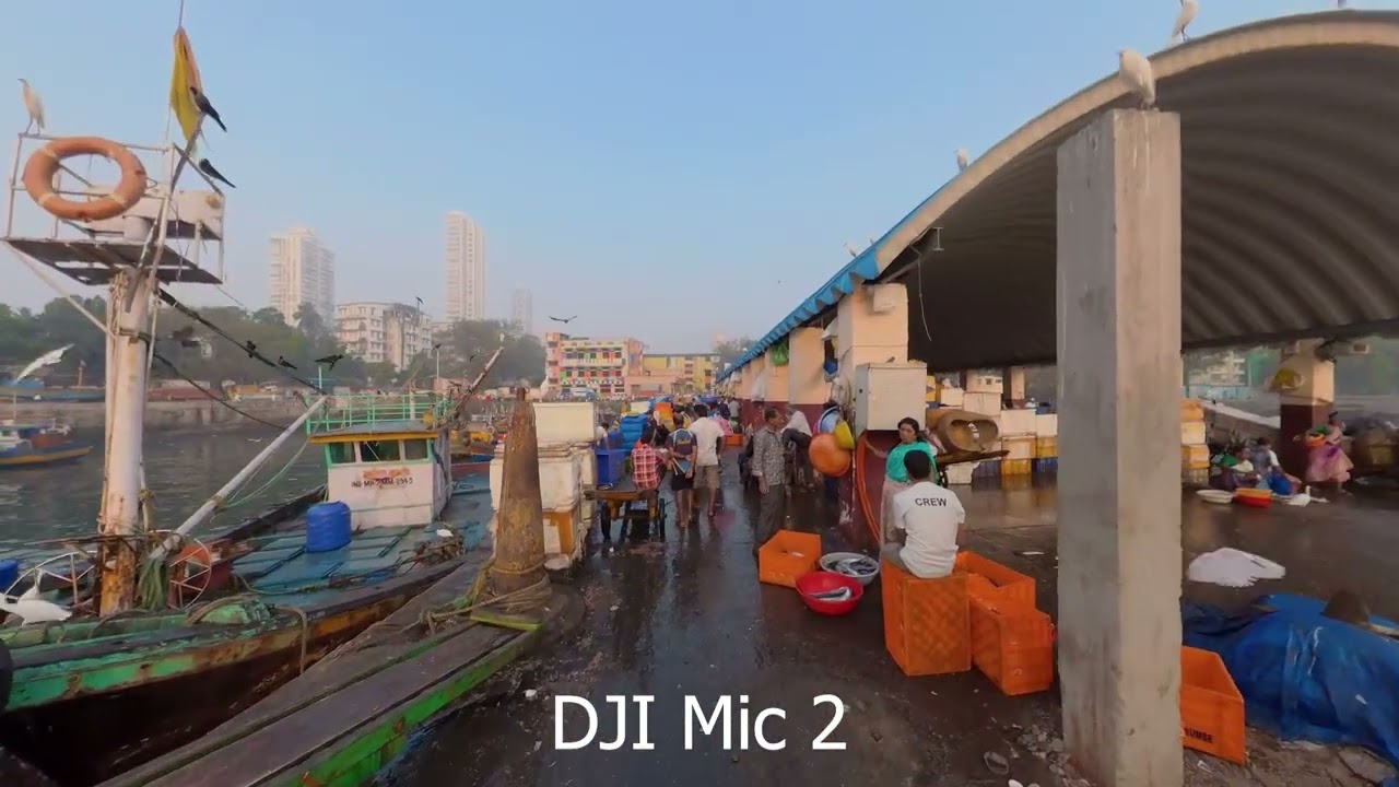 DJI Osmo 360-Audio Comparison Internal VS DJI Mic 2