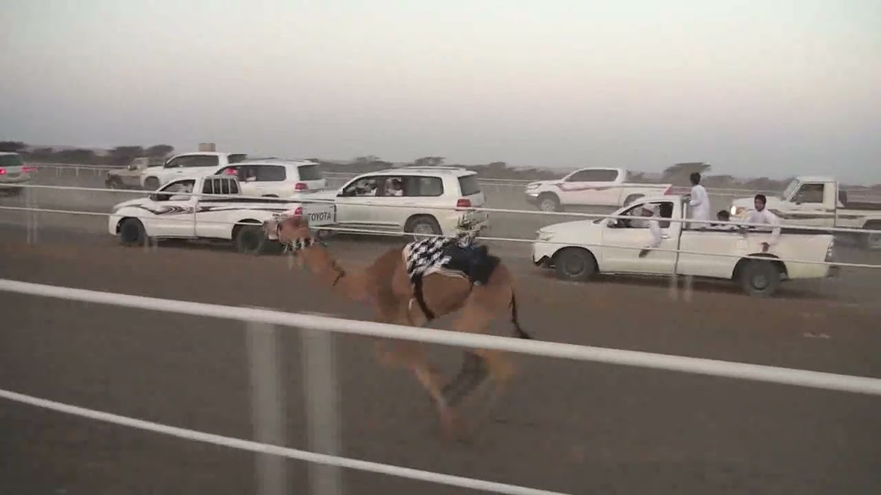 مركاض بديه الشوط الاول