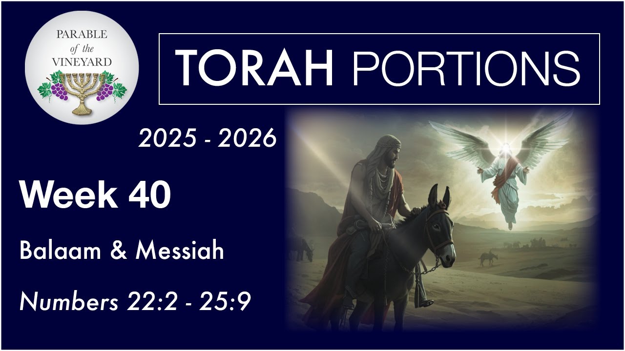 Torah Portion Week 40 - Numbers 22:2 - 25:9 (End Times Moab & House of David)  2025 - 2026