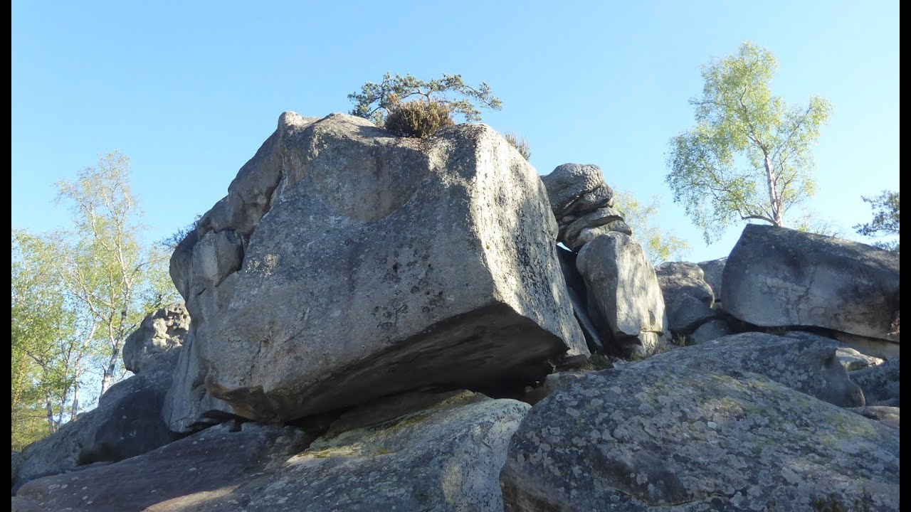 Fontainebleau gorges d'Apremont 08 04 25