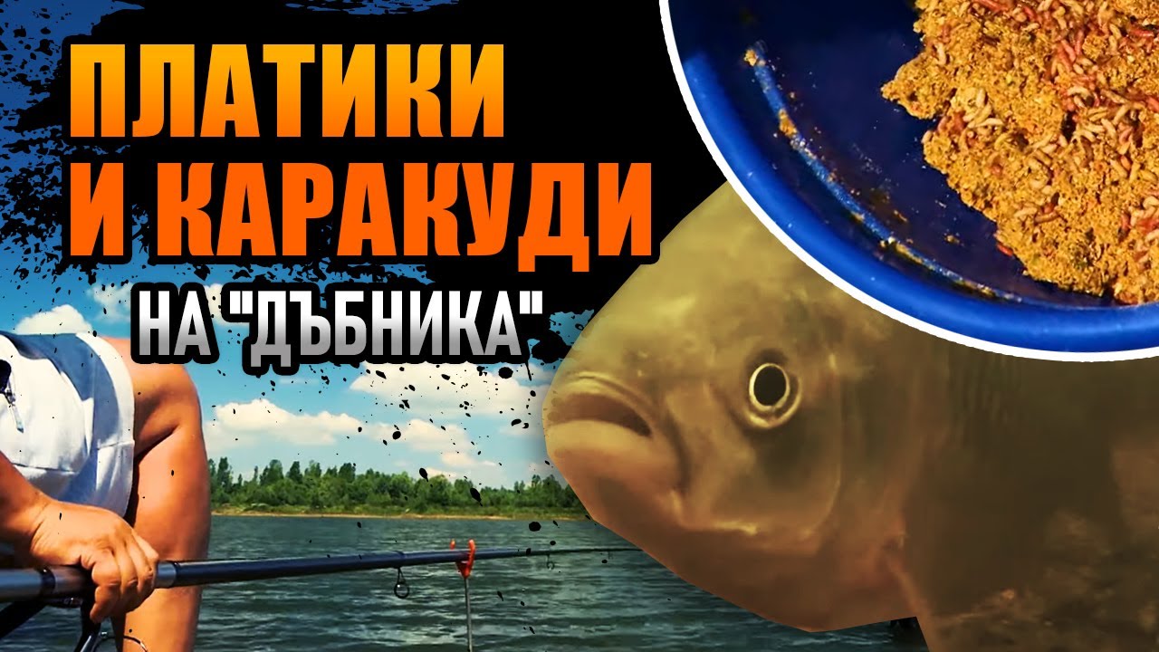ПЛАТИКИ и КАРАКУДИ на 
