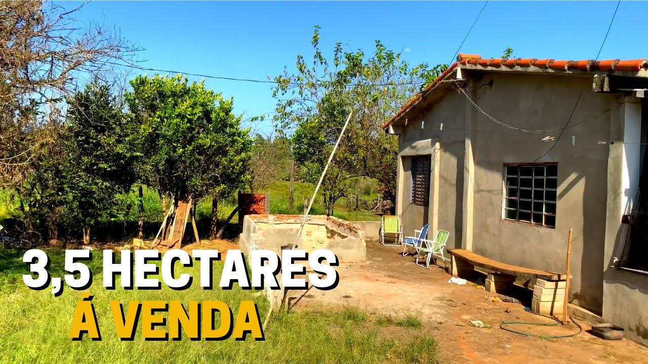 SÍTIO DE 3,5 HECTARES À VENDA EM PRATÁPOLIS - MG VALOR: 380 MIL