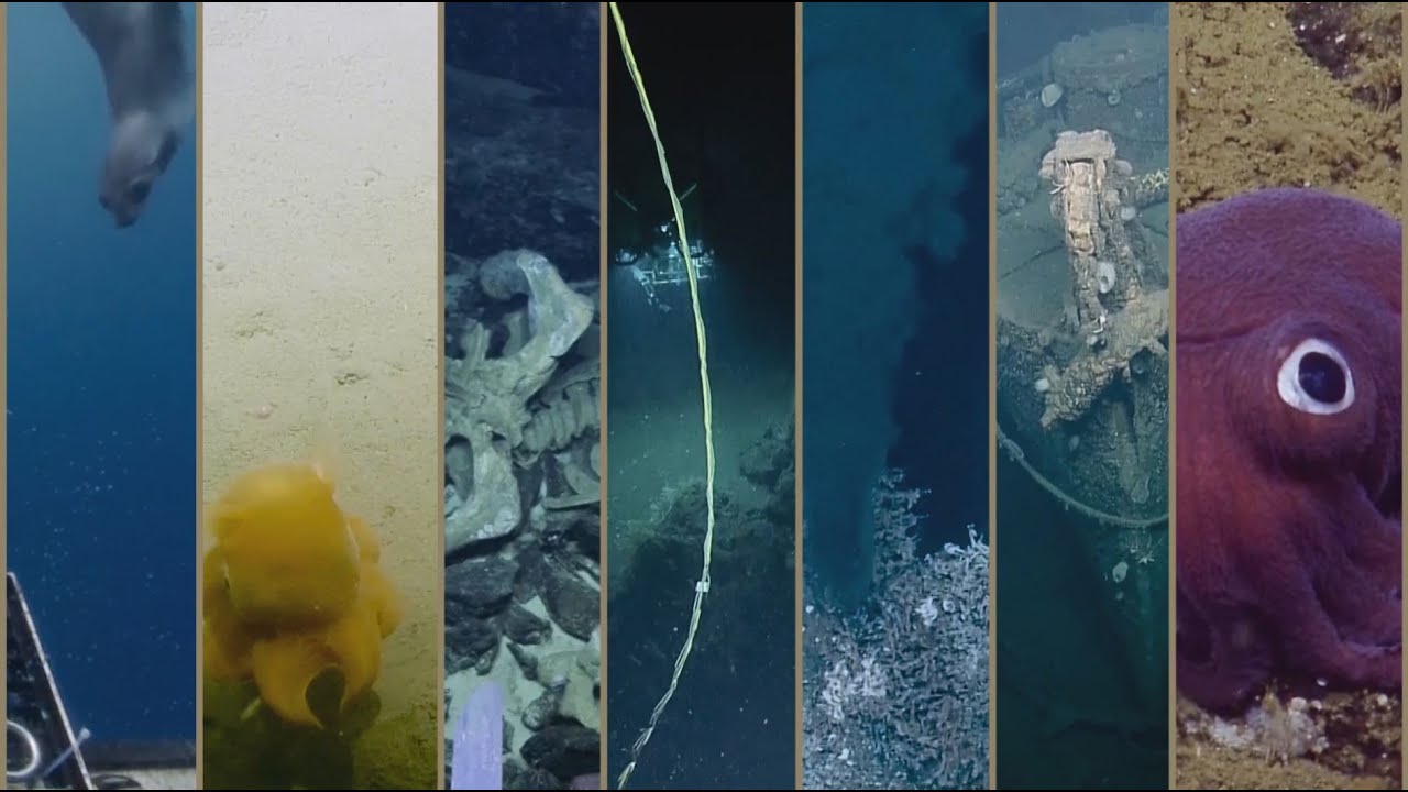 Best of the E/V Nautilus 2016 Expedition | Nautilus Live