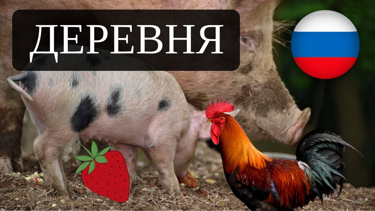 Living in Russia – Russian VILLAGE – Russian province