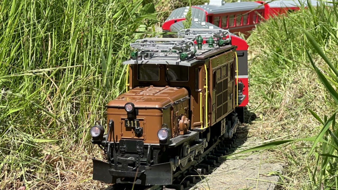 G Scale Society Garden Railway running