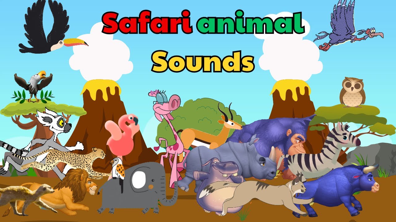 Safari Animal Sounds Song N303 | Nursery Rhymes | Kids TV Education