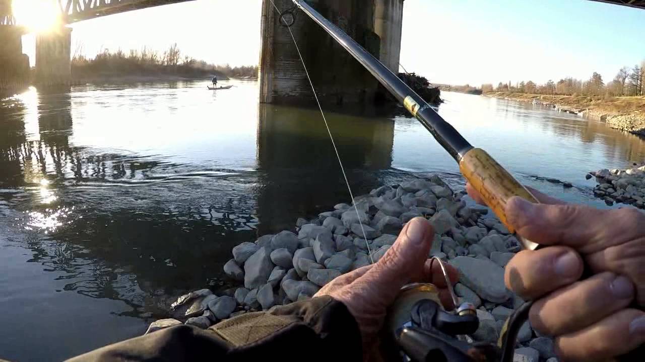 Spinning a siluri sotto il ponte del Po a Cremona