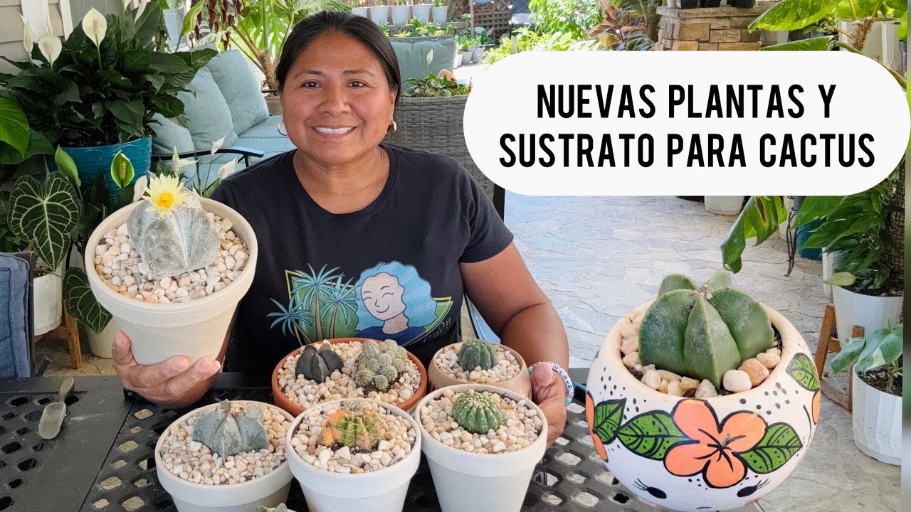 NUEVAS PLANTAS Y SUSTRATO PARA CACTUS