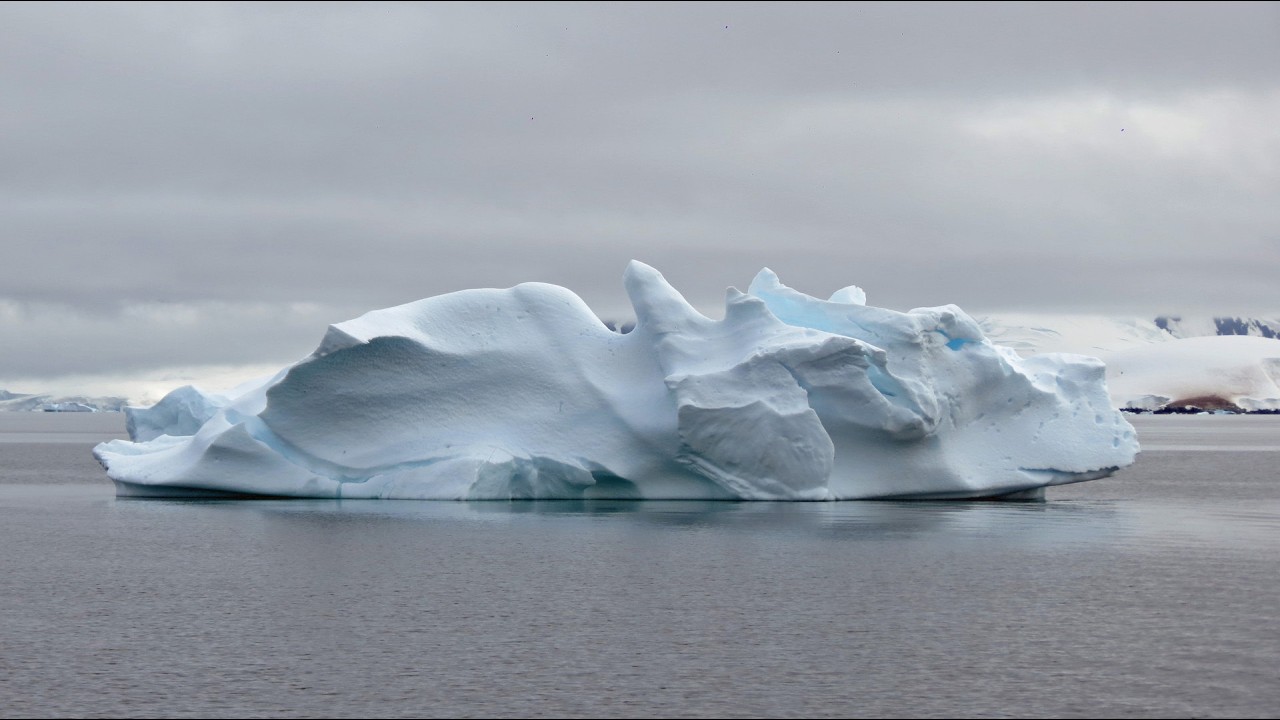 Expédition en Antarctique du 27 décembre 2025 au 24 janvier 2026