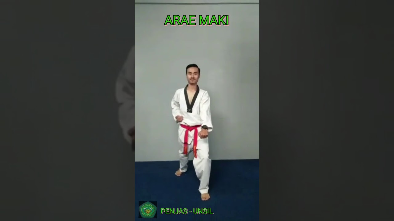 Arae Makki