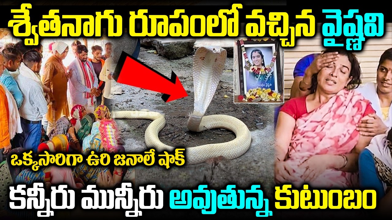 శ్వేత నాగు రూపంలో వైష్ణవి | అది చూసి షాక్ అయిన తల్లి | Youtuber Vaishnavi | Chitramala