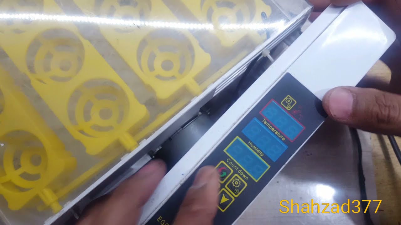 24 egg incubator repair