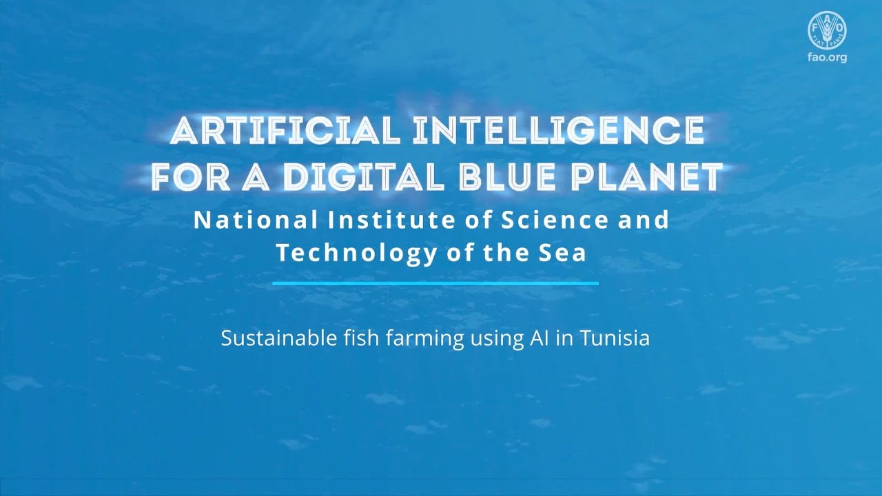 FAO AI4DBP Sustainable fish farming using AI in Tunisia