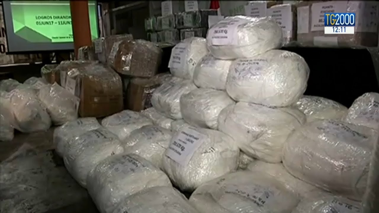 Sequestro record di cocaina a Livorno: 650 chili