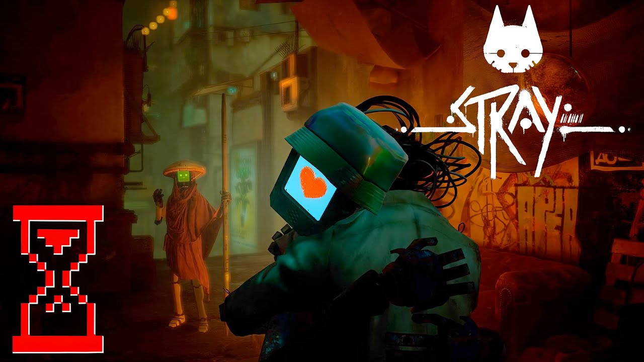 Док вернулся домой // Stray