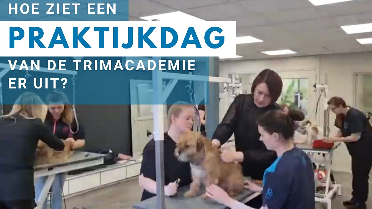 Hoe ziet een praktijkdag er bij De Trimacademie uit?