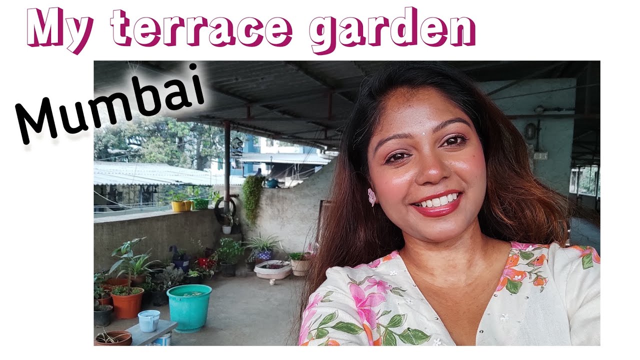 माझी टेरेस गार्डन #urbangarden #terracegarden #plantlover #balconygarden 