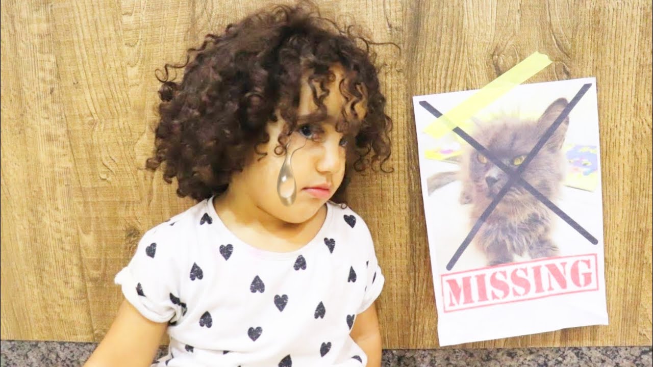القطه ستيسي ضاعت😿😿
