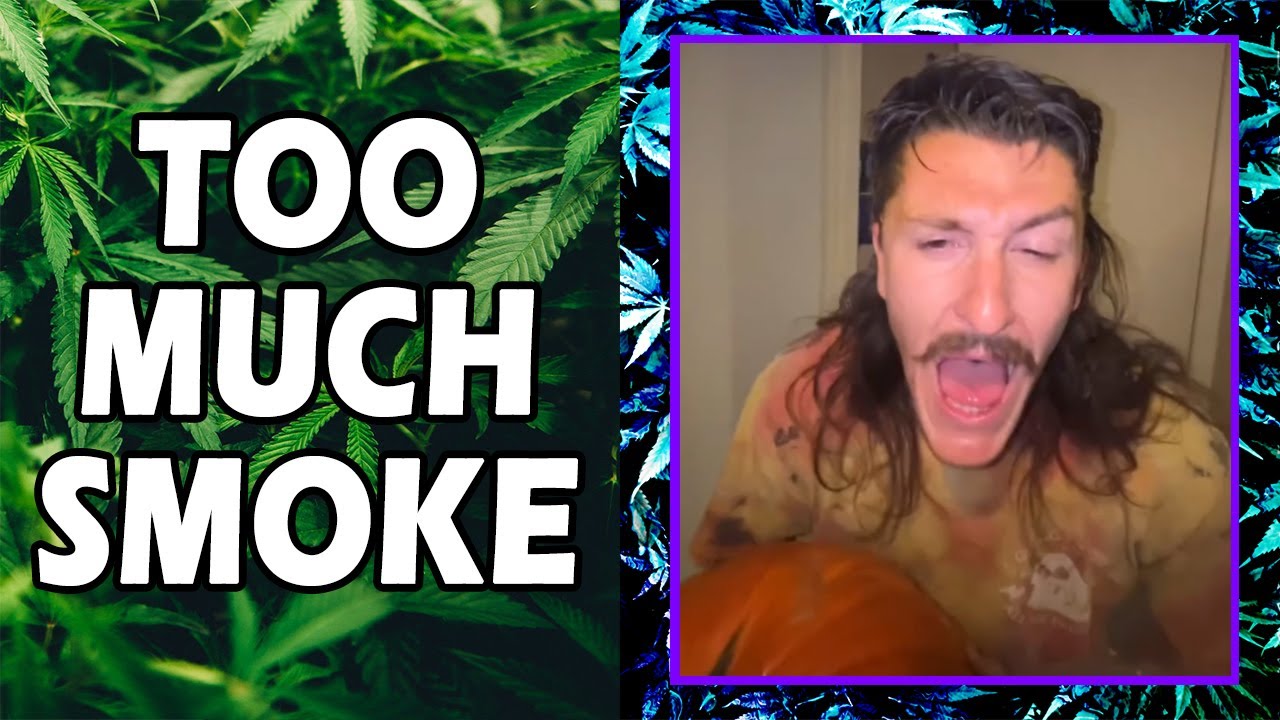 WEED MEMES & Fail Compilation [#234] - Fatally Stoned