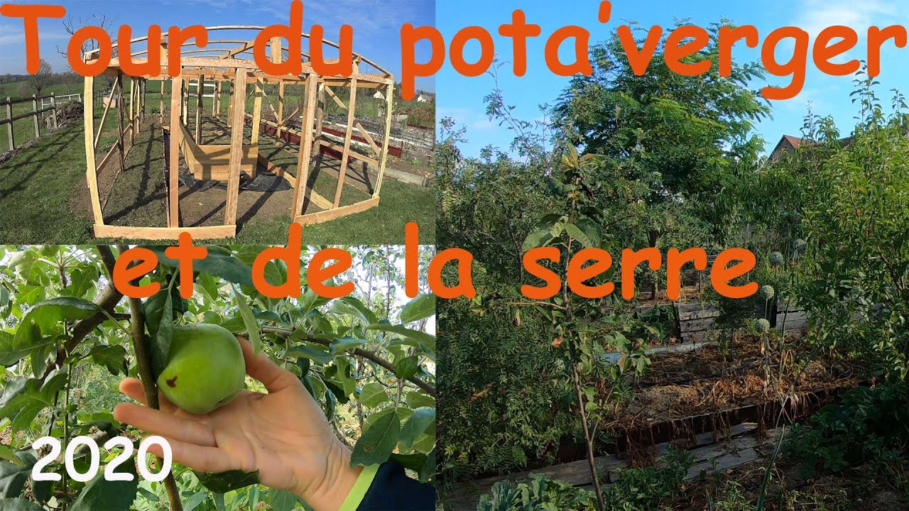 Tour de notre potager, de la serre et du verger en devenir!