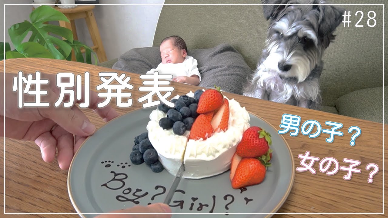 【ジェンダーリビール】第一子の性別を発表します！🎉