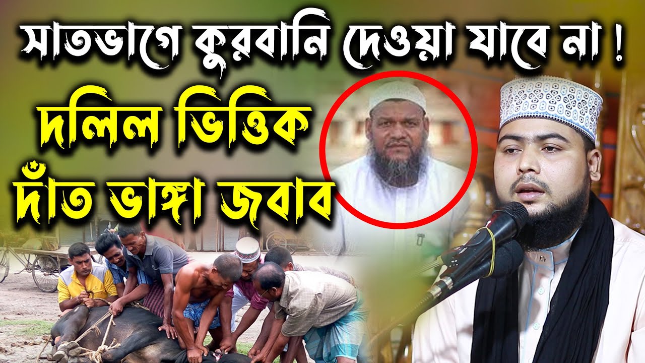 সাত ভাগে কুরবানি চলবেনা । দলিল ভিত্তিক জবাব । 01776098023 । Ashraf Ali Siddique