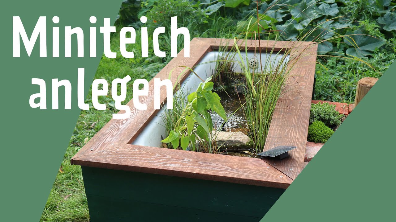 DIY Miniteich aus Badewanne - Miniteich anlegen für mehr Natur im Garten