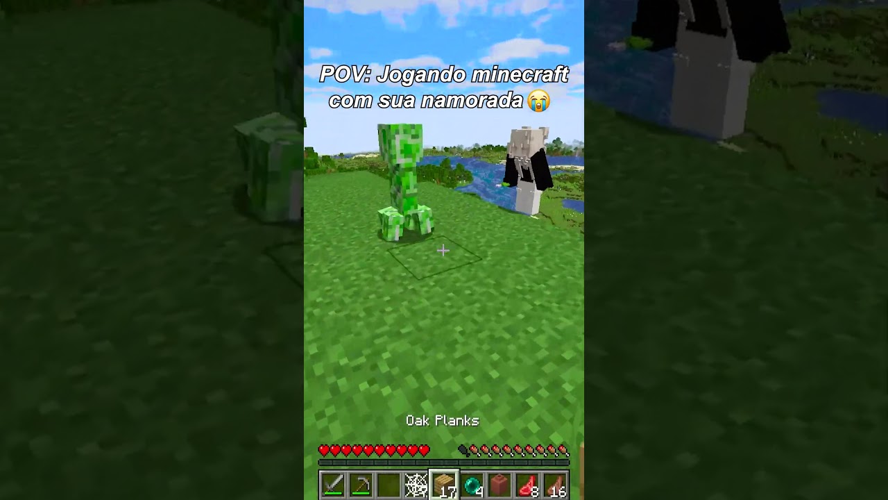 pov: jogando minecraft com minha namorada