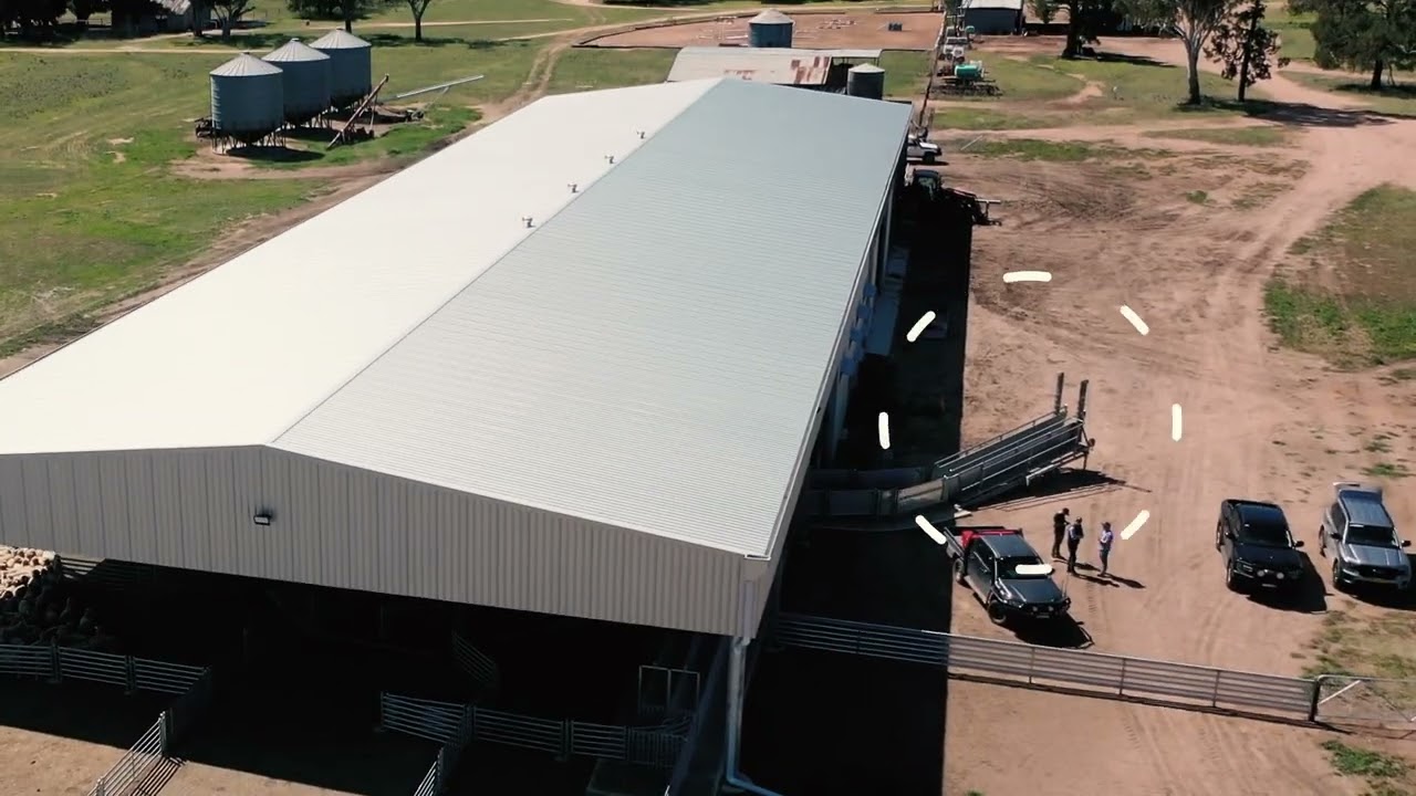 Modern Sheep Yard Design for Egelabra Merinos | Fast 1 Week Installation