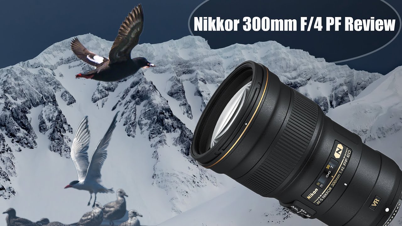 Nikon 300mm F4E PF Nikkor Lens Review - Portable, Lightweight Lens for Wildlife Photography
